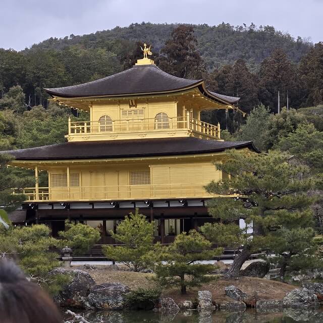 ケイセツの先生が行く合格祈願の旅 ちょっと寄り道金閣寺へ