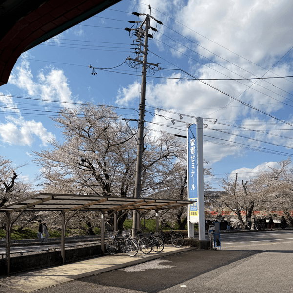 塾の螢雪ゼミナール那加校高校部の周辺で行われる桜まつり