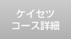�P�C�Z�c�R�[�X�ڍ�